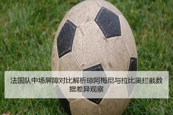 法国队中场屏障对比解析琼阿梅尼与拉比奥拦截数据差异观察